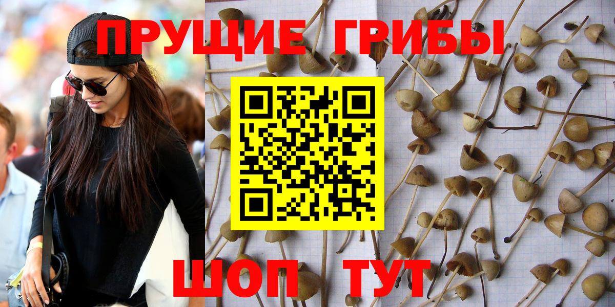 Псилоцибиновые грибы Magic Shrooms  Вход с VPN  Брянск 